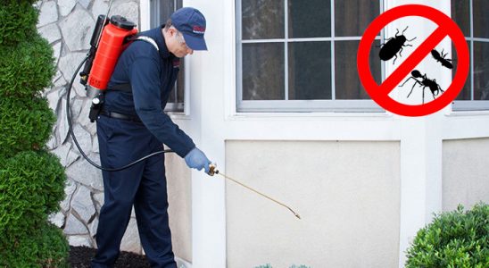 Alacakaya Böcek ve Haşere İlaçlama böcek ilaçlama ve haşere kontrolü — ilaclama-tr.com
